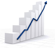 municipality revenue profit